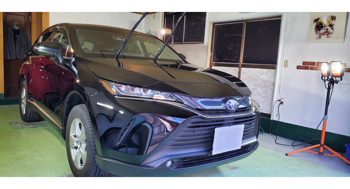 ブラック202ハリアー