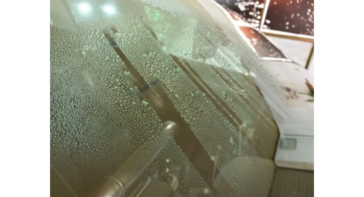 プライムビュー