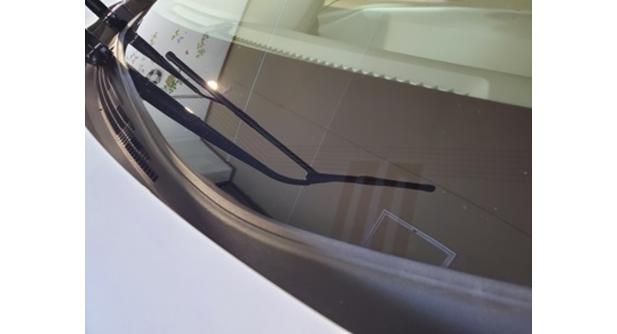 ウロコシミ除去後