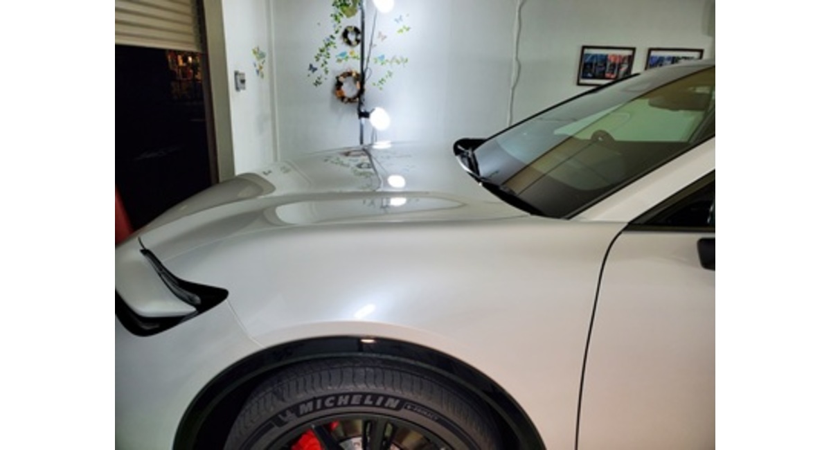 プレシャス ホワイト パール