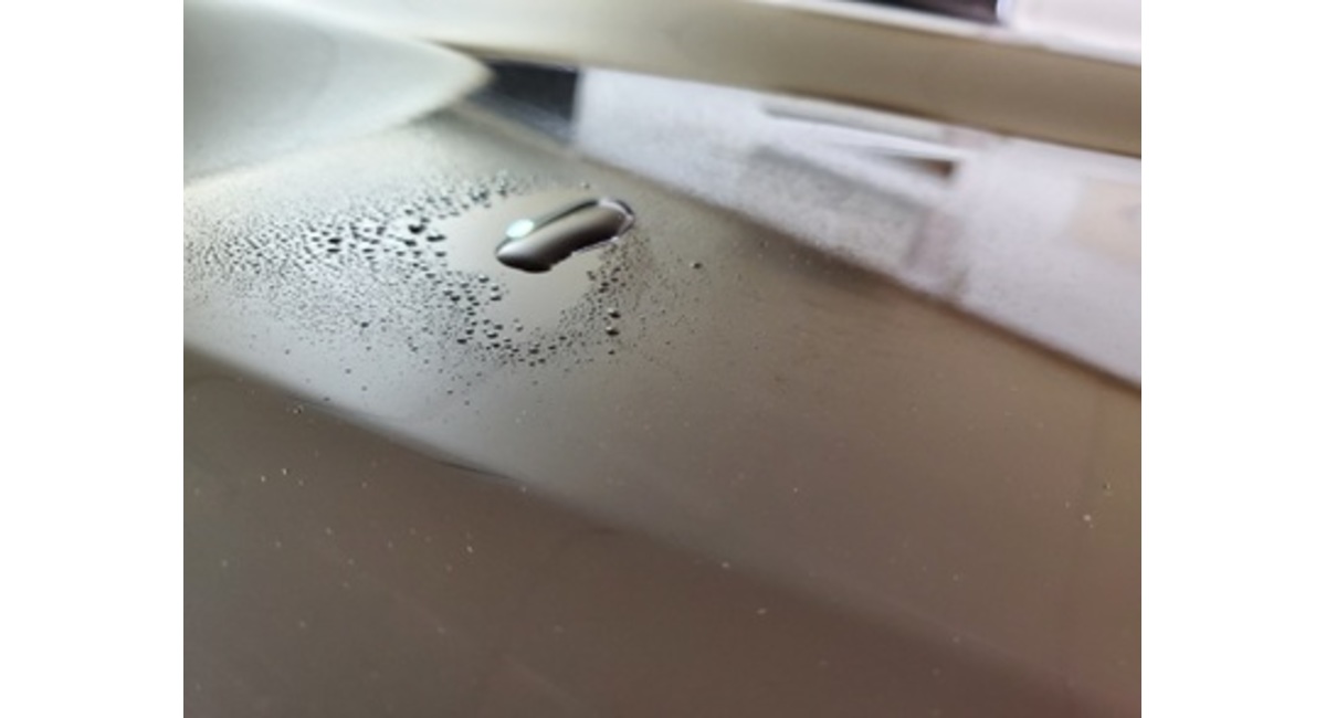 ハイモースコートザ・グロウ