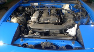 201561617480.jpg
