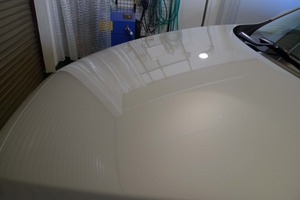 201612912195.jpg