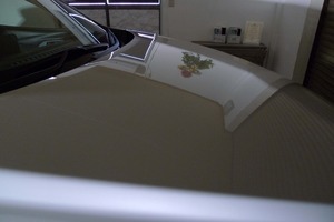 2016129122451.jpg