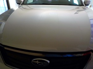 2013121115584.jpg