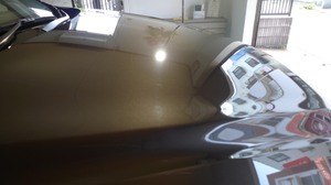 20166817370.jpg
